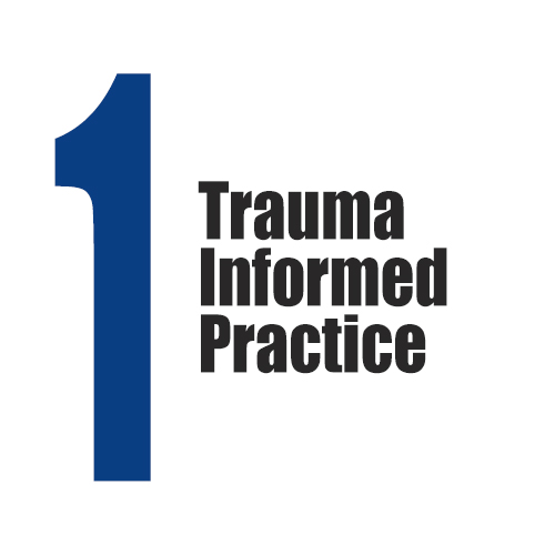 1 - Trauma Informed Practice